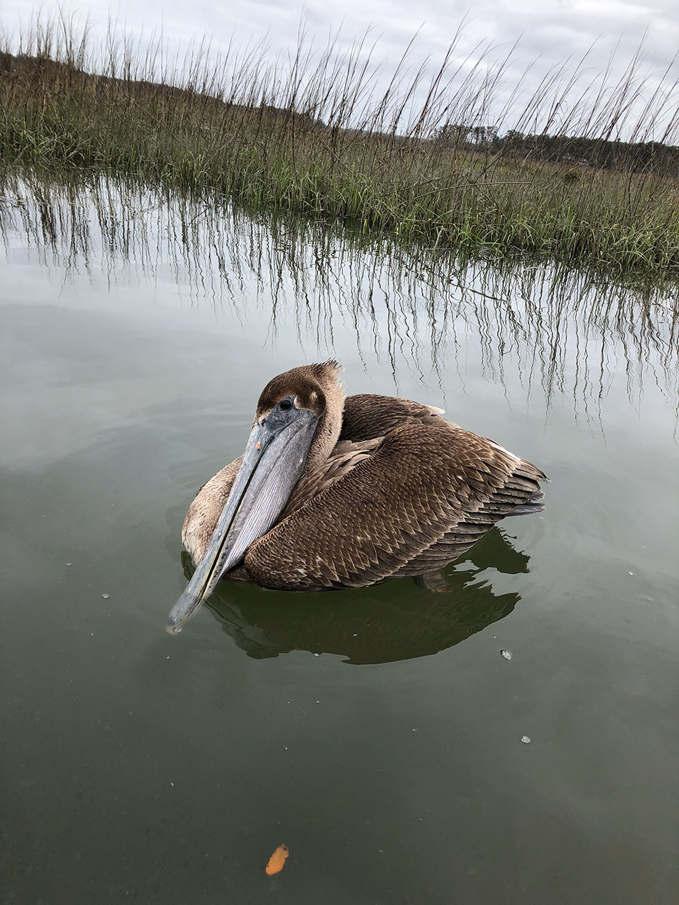 fishing charters photo gallery