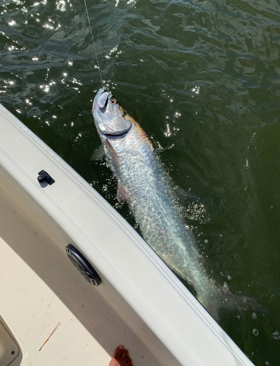 fishing charters photo gallery