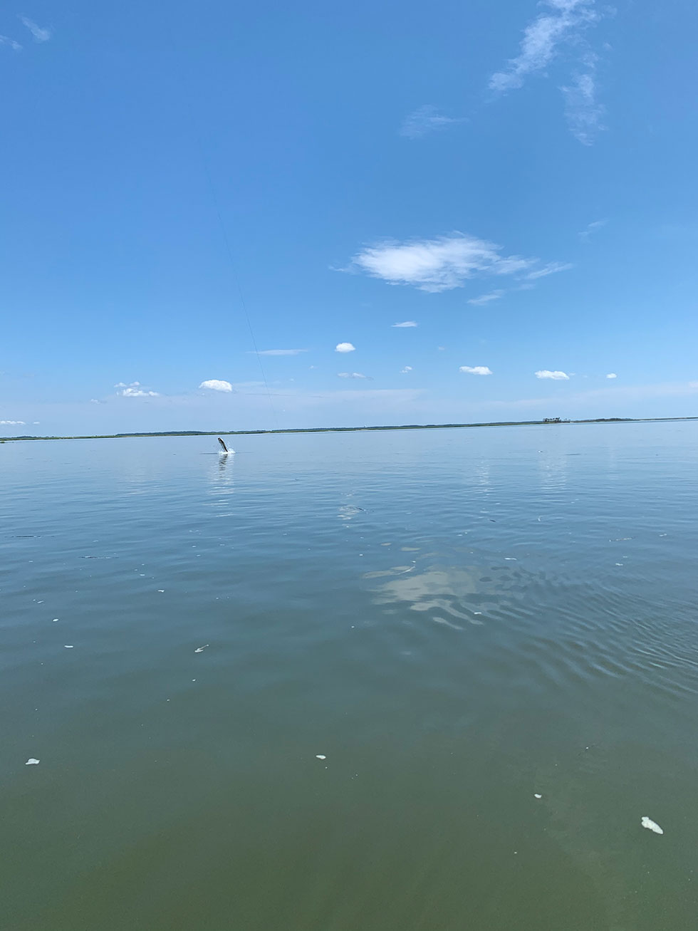 fishing charters photo gallery