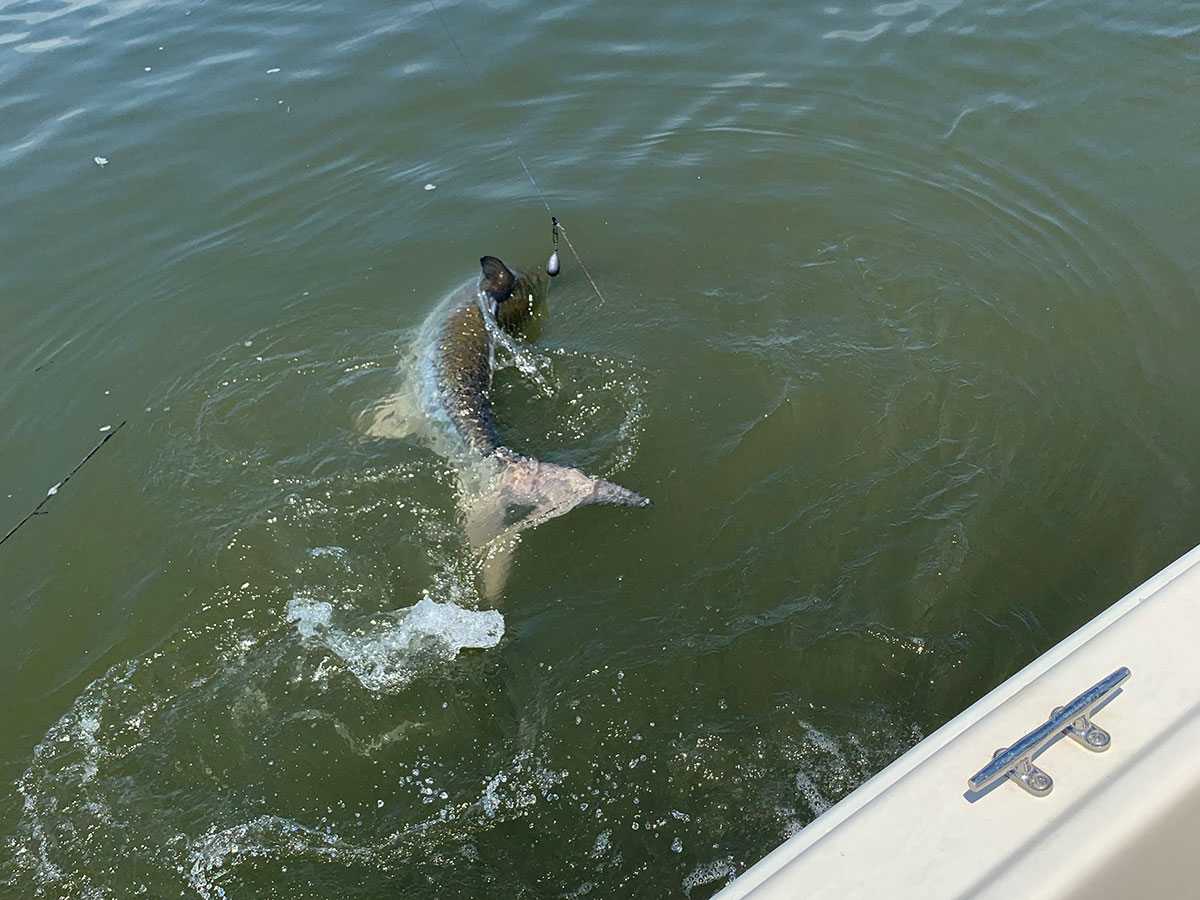 fishing charters photo gallery