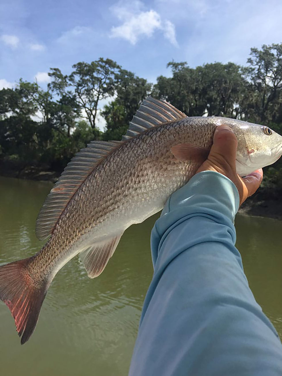 fishing charters photo gallery